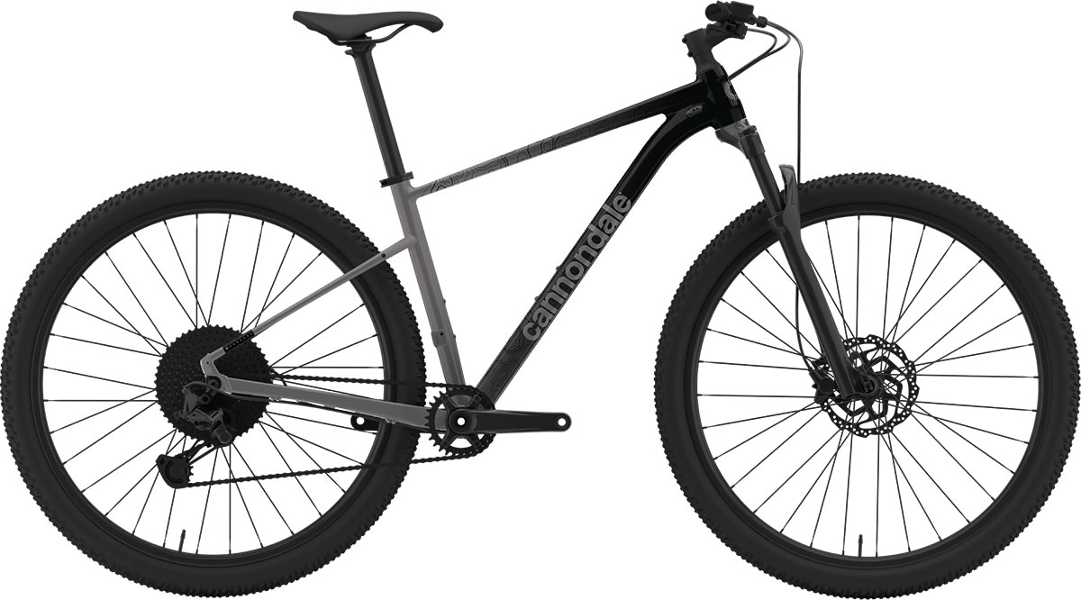 CANNONDALE TRAIL 29" SL 4 2022 - S, GRY