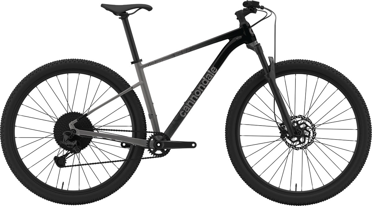 CANNONDALE TRAIL 29" SL 4 2022 - XL, GRY