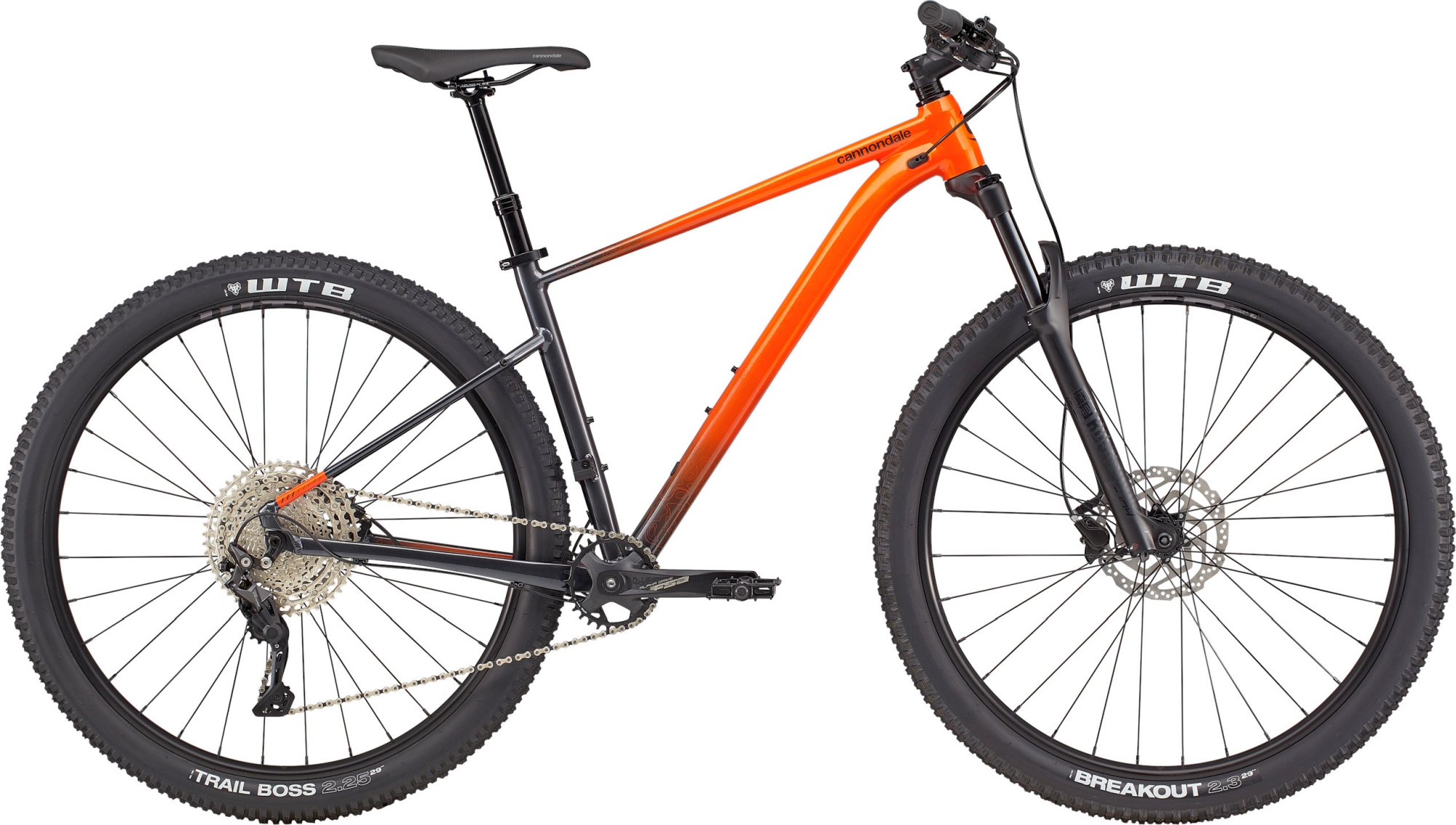 CANNONDALE TRAIL 29" SE 3 2021 - M, IOR