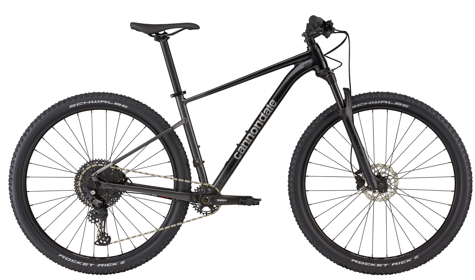 CANNONDALE TRAIL 29" SL 3 2021 - L, BPL