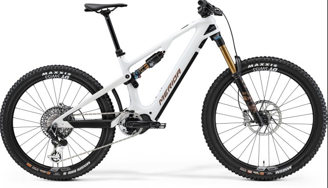 MERIDA eONE-SIXTY 10K